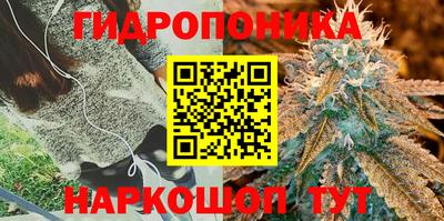 марки nbome Свободный