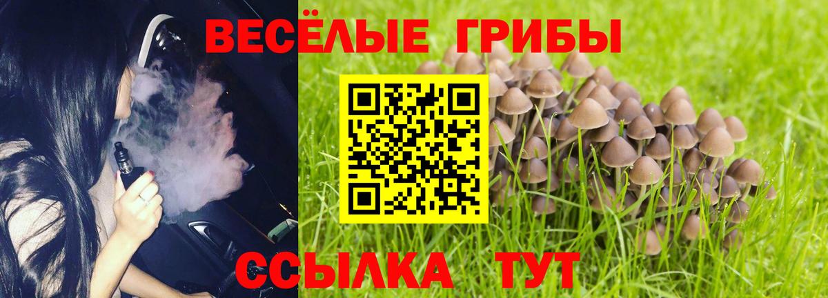 Полысаево  Галлюциногенные грибы мухоморы  Вход с VPN 