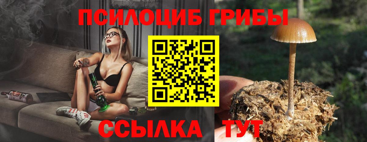Галлюциногенные грибы мухоморы Полысаево